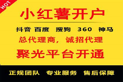 案例研究：信息流广告投放优化